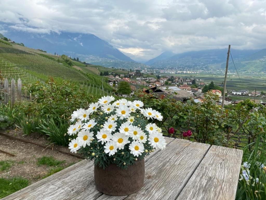 Ferienwohnung Weingut Bachgütl Tscherms Exterior foto