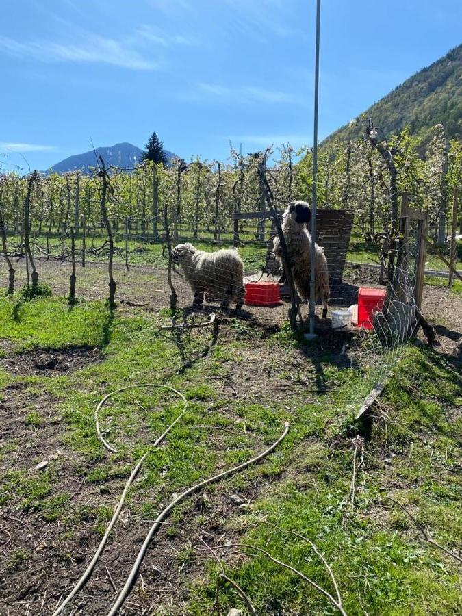 Ferienwohnung Weingut Bachgütl Tscherms Exterior foto